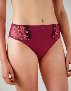 Culotte Microfibre Tulle Brodé Caminata